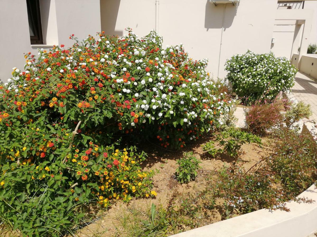 Carisa Maleme Hotel Exterior photo